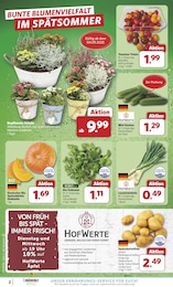 Gemüse Angebot im aktuellen combi Prospekt auf Seite 2