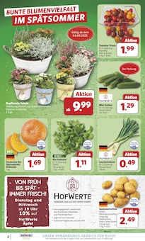 combi Prospekt der Woche "Markt - Angebote" Seite 2, 01.09.2025 bis 06.09.2025 für Westoverledingen Aktueller combi Prospekt "Markt - Angebote" Seite 2 von 35 Seiten für Westoverledingen