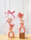 Composition Cymbidium en promo chez Super U Aubervilliers à 10,99 €