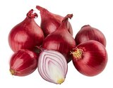Rote Speisezwiebeln Angebote von REWE Beste Wahl bei REWE Halberstadt für 0,89 €