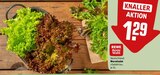 REWE Erbach - Wurzelsalat Salattrio Angebot im Prospekt Wurzelsalat Salattrio bei REWE im Erbach Prospekt für 1,29 €