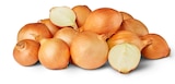 Penny Wiednitz - Deutsche Zwiebeln Angebot im Prospekt Deutsche Zwiebeln bei Penny im Wiednitz Prospekt für 0,99 €