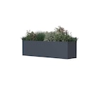 Westmann Pflanzkasten Talus für 94,99 € bei POCO im Angebot Westmann Pflanzkasten Talus im aktuellen POCO Prospekt
