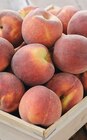 Promo Peche blanche et/ou jaune à 2,49 € dans le catalogue Intermarché Contact à Montpellier
