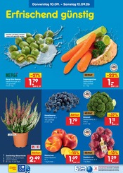 Aktueller Netto Marken-Discount Prospekt mit Kohle, "Aktuelle Angebote", Seite 3