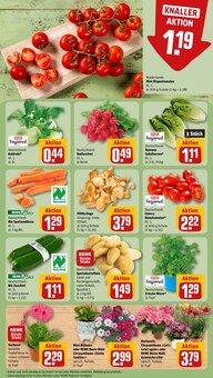 Pilze im aktuellen REWE Prospekt (Düsseldorf) Pilze im REWE Prospekt "Dein Markt" mit 20 Seiten (Düsseldorf)