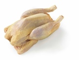 EDEKA Aalen Prospekt mit  im Angebot für 6,99 €