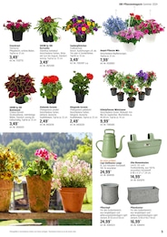 Blumenkasten im OBI Prospekt "Alles Machbar In deinem Garten" auf Seite 5