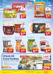 Aktueller Netto Marken-Discount Prospekt mit Brioche, "Aktuelle Angebote", Seite 17