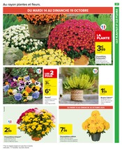 Chrysanthèmes Angebote im Prospekt "VENEZ GOÛTER AU MEILLEUR POUR DE BON !" von Carrefour Market Chrysanthèmes Angebote im Prospekt "VENEZ GOÛTER AU MEILLEUR POUR DE BON !" von Carrefour Market auf Seite 23