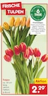 Frische Tulpen  im aktuellen Netto Marken-Discount Prospekt für 2,29 €