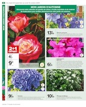 Hortensia Angebote im Prospekt "PRÉPAREZ L’AUTOMNE : JARDIN - BRICOLAGE" von Carrefour auf Seite 6