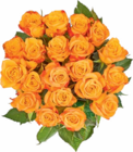 Edelrosen im Angebot bei Netto Marken-Discount in Delmenhorst Edelrosen Angebote bei Netto Marken-Discount Delmenhorst für 5,55 €