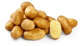 Speisekartoffeln Angebot in Schwarzheide Speisekartoffeln im aktuellen Prospekt bei Penny-Markt in Schwarzheide