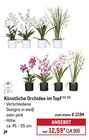 Künstliche Orchidee im Topf im Angebot bei METRO in Offenbach Künstliche Orchidee im Topf Angebote von DPI bei METRO Offenbach für 14,98 €