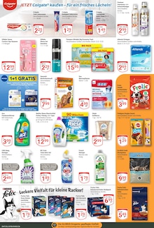 Kerzen im GLOBUS Prospekt "Aktuelle Angebote" mit 38 Seiten (Erfurt)