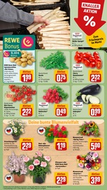 Blumen im REWE Prospekt in Fellbach Aktueller REWE Prospekt mit Blumen, "Dein Markt", Seite 7