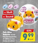 Mäc-Geiz Pasewalk - Hamster Angebot im Prospekt Hamster bei Mäc-Geiz im Pasewalk Prospekt für 9,99 €