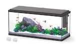 Aquarium explorer amsterdam 80 aquatlantis équipé - AQUATLANTIS en promo chez Truffaut Talence à 99,99 €