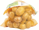 Promo Pommes de terre de consommation variété Agata / Melody / Challenger / Taisiya / Nazca / Amaez à 3,99 € dans le catalogue Colruyt à Gries