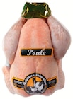 Poule au sol - VOLAILLES DE TABARDIÈRES en promo chez Super U Poule au sol - VOLAILLES DE TABARDIÈRES dans le catalogue Super U