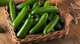 Mini Gurken im Angebot bei REWE in Lutherstadt Wittenberg Mini Gurken Angebote bei REWE Lutherstadt Wittenberg für 1,35 €