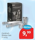 Cocktail-Shaker-Set für 9,99 € bei budni im Angebot Cocktail-Shaker-Set im aktuellen budni Prospekt