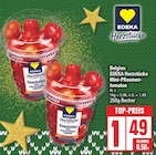 Aktuelles Mini-pflaumentomaten Angebot bei EDEKA in Potsdam ab 1,49 €