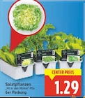 Salatpflanzen „Fit in den Winter“-Mix für 1,29 € bei E center im Angebot Salatpflanzen „Fit in den Winter“-Mix im aktuellen E center Prospekt