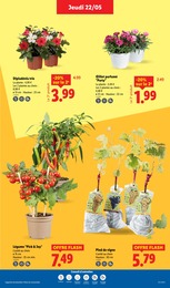 Prix et réduction Arbre Fruitier dans le prospectus Lidl en cours Offre Arbre Fruitier dans le catalogue Lidl du moment à la page 33