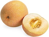 Galiamelone im Angebot bei REWE in Pforzheim Galiamelone Angebote von REWE Beste Wahl bei REWE Pforzheim für 1,29 €