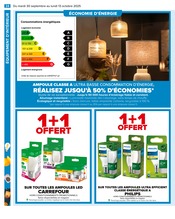 Philips Angebote im Prospekt "PRÉPAREZ L’AUTOMNE : JARDIN - BRICOLAGE" von Carrefour auf Seite 26