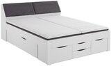 Stauraumbett im Angebot bei XXXLutz in Neubrandenburg Stauraumbett Angebote bei XXXLutz Neubrandenburg für 599,00 €
