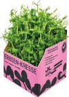 Angebot im EDEKA Hünxe Prospekt EDEKA Hünxe Prospekt mit im Angebot für 1,11 €
