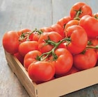 Promo TOMATE RONDE EN GRAPPE à 1,29 € dans le catalogue Intermarché à Niort