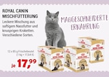 Mischfütterung im Angebot bei Zookauf in Hemer Mischfütterung Angebote von Royal Canin bei Zookauf Hemer für 17,99 €
