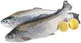 Aktuelle Fisch Angebote bei REWE in Mönchengladbach Aktuelles Forelle Angebot bei REWE in Mönchengladbach ab 1,49 €