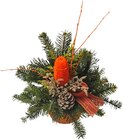 Grabschale klein im Angebot bei Penny in Nordhausen Grabschale klein Angebote bei Penny Nordhausen für 7,99 €