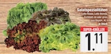 Lollo Bionda im EDEKA Prospekt Lollo Rosso oder Lollo Bionda oder Eichblatt rot oder Eichblatt grün im aktuellen EDEKA Prospekt für 1,11 €