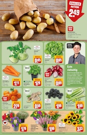 Ähnliche Weihnachtsstern Angebote im Prospekt "Dein Markt" von REWE in Willich Ähnliche Angebote wie Weihnachtsstern im Prospekt "Dein Markt" auf Seite 7 von REWE in Willich
