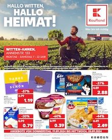 Kaufland Prospekt "Aktuelle Angebote" mit  Seiten (Witten)