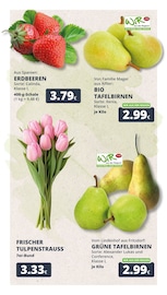 Tierfutter im REWE Prospekt in Kerpen Aktueller REWE Prospekt mit Tierfutter, "Dein Markt", Seite 2