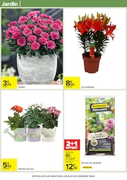 Prix et réduction Jardinière dans le prospectus Carrefour en cours Offre Jardinière dans le catalogue Carrefour du moment à la page 58