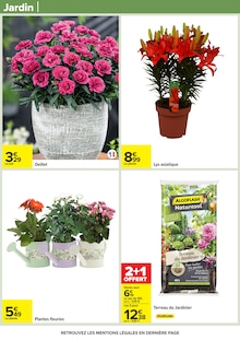 Promotion Jardinière dans le prospectus Carrefour, valable du 31/03/2026 au 13/04/2026 Promo Jardinière dans le catalogue Carrefour du moment à la page 58