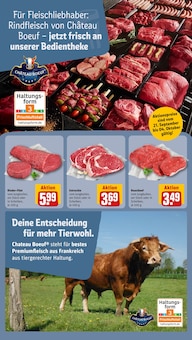 Rindfleisch im aktuellen REWE Prospekt (Hamburg) Rindfleisch im REWE Prospekt "Dein Markt" mit 35 Seiten (Hamburg)