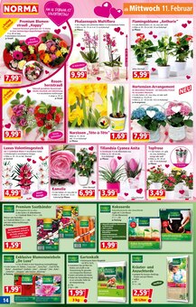 Whiskey im Norma Prospekt "Mehr fürs Geld" mit 20 Seiten (Saarbrücken)