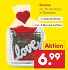 Eisrose bei Netto Marken-Discount im Lentföhrden Prospekt für 6,99 €