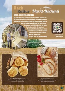 Brot im EDEKA Prospekt "Aktuelle Angebote" mit 60 Seiten (Pforzheim)