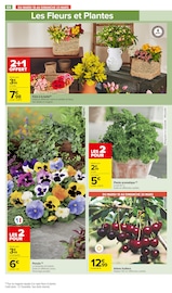 Fleurs Angebote im Prospekt "Carrefour market" von Carrefour Market auf Seite 68