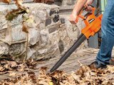 Elektro Laubsauger PMLS 3200 von Primaster im aktuellen Globus-Baumarkt Prospekt für 49,00 €